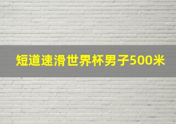 短道速滑世界杯男子500米