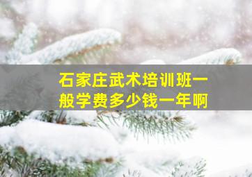 石家庄武术培训班一般学费多少钱一年啊