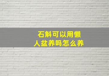 石斛可以用懒人盆养吗怎么养