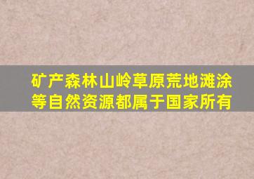 矿产森林山岭草原荒地滩涂等自然资源都属于国家所有