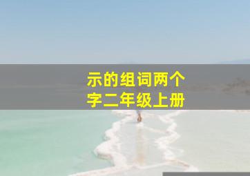 示的组词两个字二年级上册