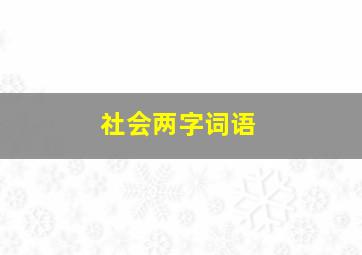 社会两字词语