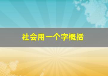 社会用一个字概括