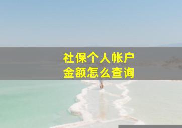 社保个人帐户金额怎么查询