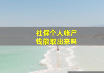 社保个人帐户钱能取出来吗