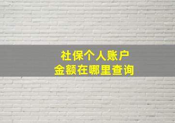 社保个人账户金额在哪里查询