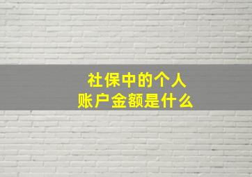 社保中的个人账户金额是什么