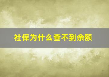 社保为什么查不到余额