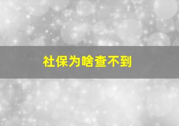 社保为啥查不到