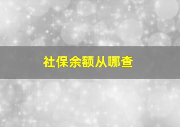 社保余额从哪查