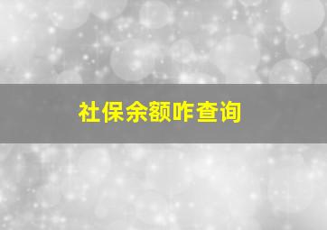 社保余额咋查询