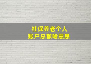 社保养老个人账户总额啥意思