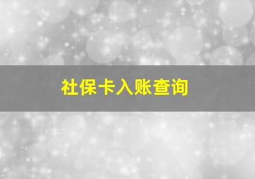 社保卡入账查询