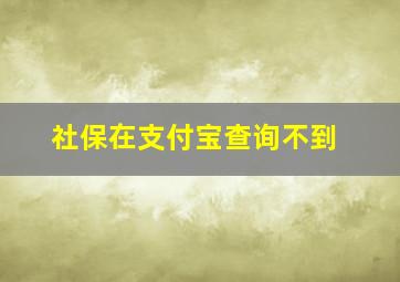 社保在支付宝查询不到