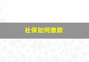 社保如何缴款