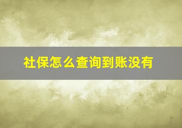 社保怎么查询到账没有