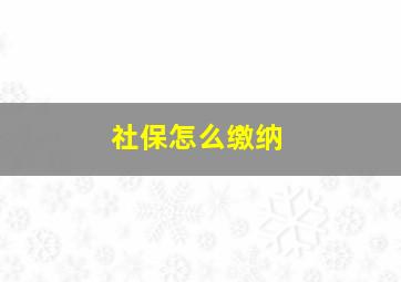 社保怎么缴纳