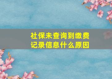 社保未查询到缴费记录信息什么原因