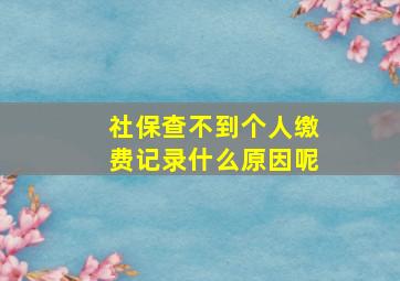 社保查不到个人缴费记录什么原因呢