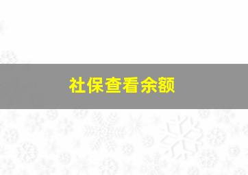 社保查看余额