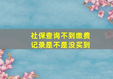 社保查询不到缴费记录是不是没买到