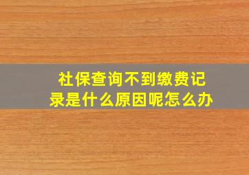 社保查询不到缴费记录是什么原因呢怎么办