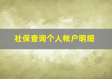 社保查询个人帐户明细