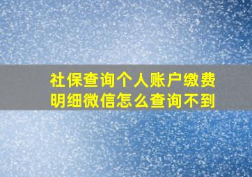 社保查询个人账户缴费明细微信怎么查询不到