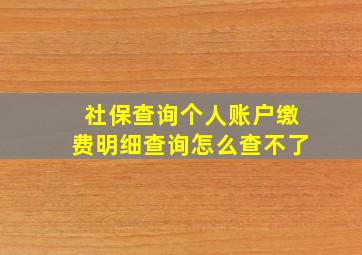 社保查询个人账户缴费明细查询怎么查不了