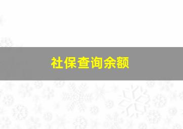 社保查询余额