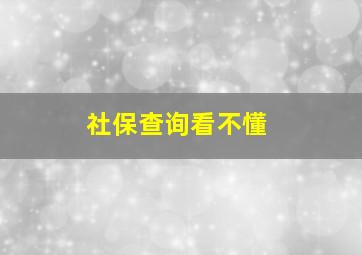 社保查询看不懂