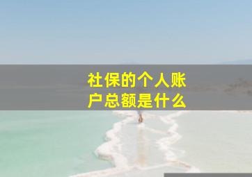 社保的个人账户总额是什么