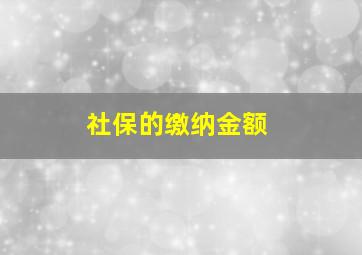 社保的缴纳金额