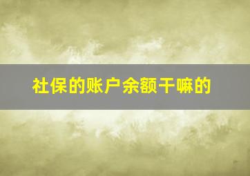 社保的账户余额干嘛的