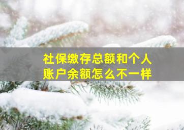 社保缴存总额和个人账户余额怎么不一样