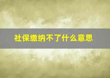 社保缴纳不了什么意思