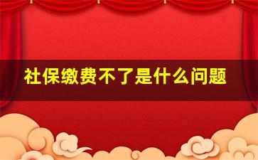 社保缴费不了是什么问题