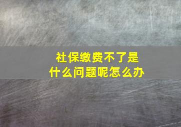 社保缴费不了是什么问题呢怎么办