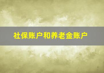 社保账户和养老金账户