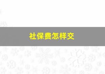 社保费怎样交