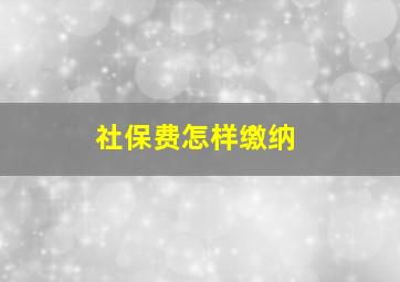 社保费怎样缴纳