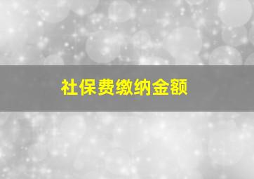 社保费缴纳金额