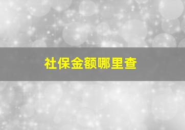 社保金额哪里查