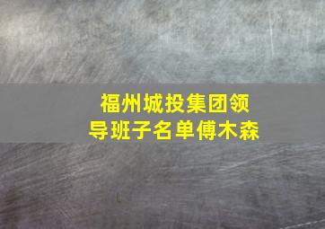 福州城投集团领导班子名单傅木森