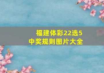 福建体彩22选5中奖规则图片大全