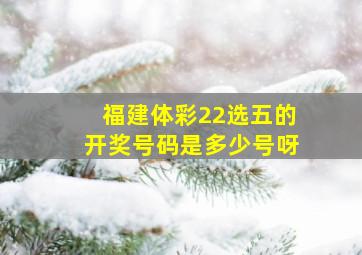 福建体彩22选五的开奖号码是多少号呀