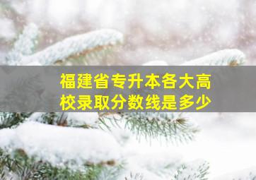 福建省专升本各大高校录取分数线是多少