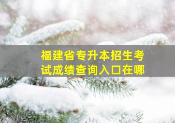 福建省专升本招生考试成绩查询入口在哪