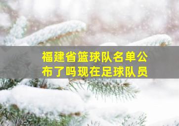 福建省篮球队名单公布了吗现在足球队员