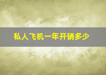 私人飞机一年开销多少